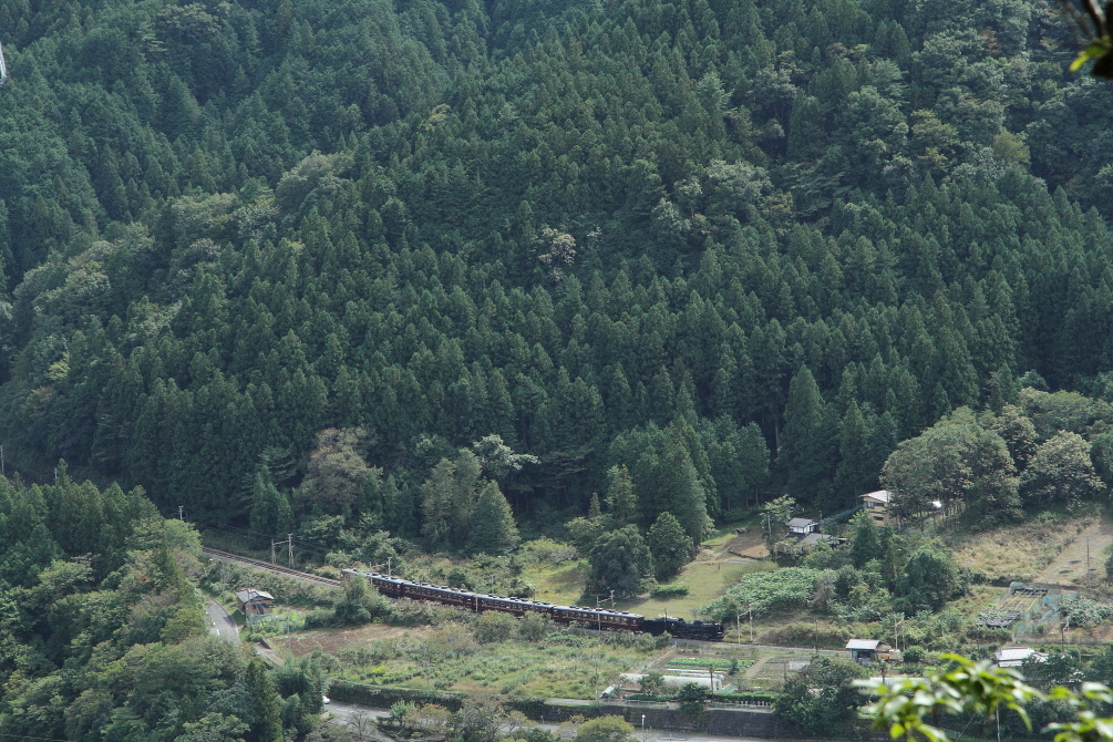 b0190710_21593719.jpg