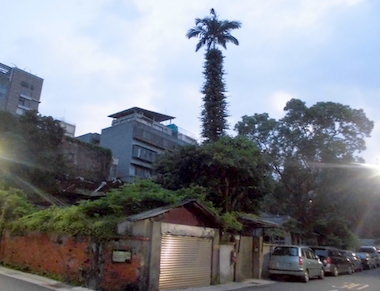 a0019212_18592080.jpeg