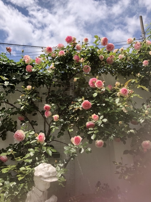 b0163114_19050029.jpeg