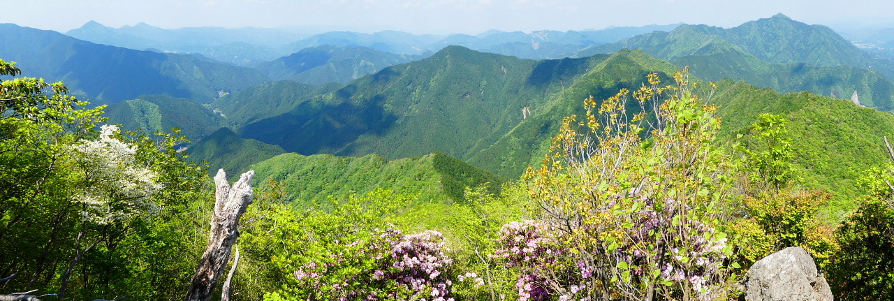 d0170615_07341030.jpg
