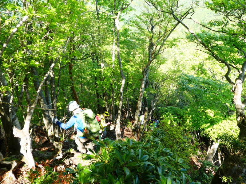 d0170615_07343843.jpg