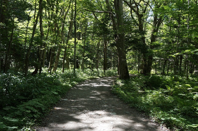 前穂高・奥穂高縦走登山記録_e0382915_18041499.jpg