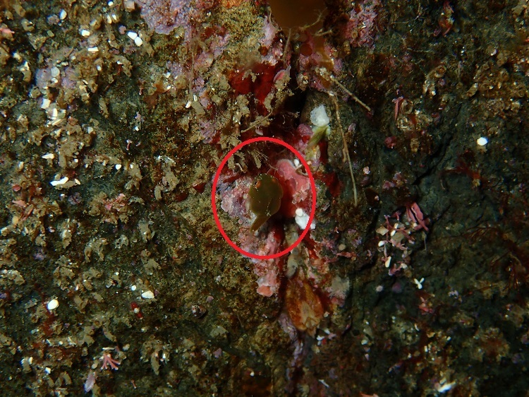 d0070216_17472022.jpg