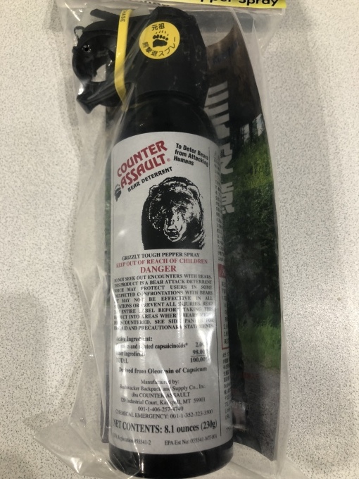 f0147821_00581462.jpeg
