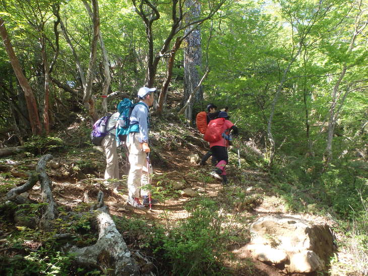 f0193521_720132.jpg