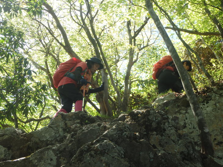 f0193521_7242834.jpg