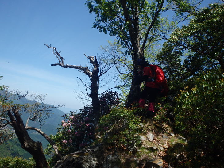 f0193521_8304813.jpg