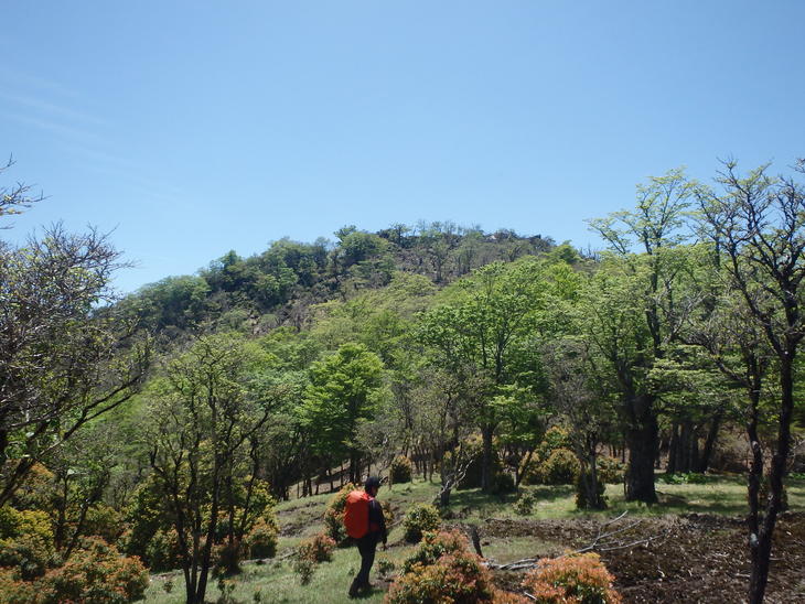 f0193521_833399.jpg