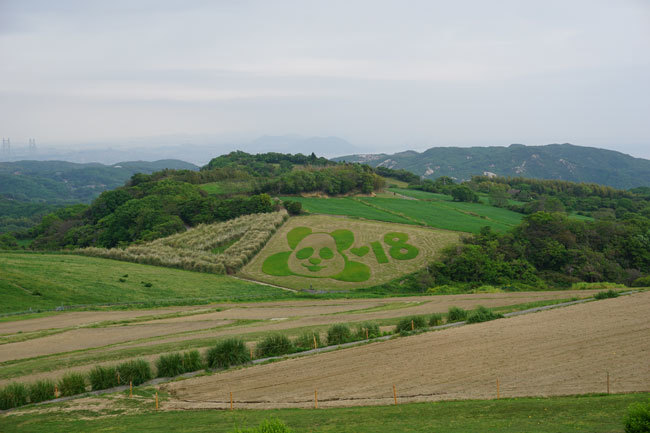 d0210324_07413246.jpg
