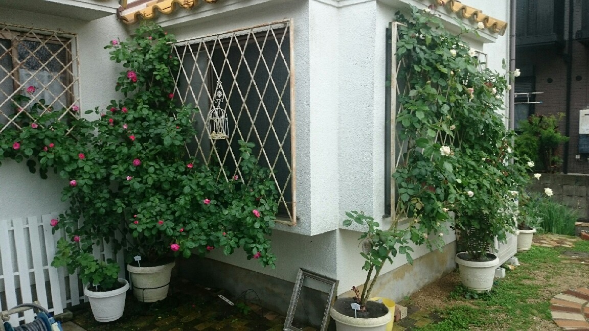 e0263224_00100634.jpg