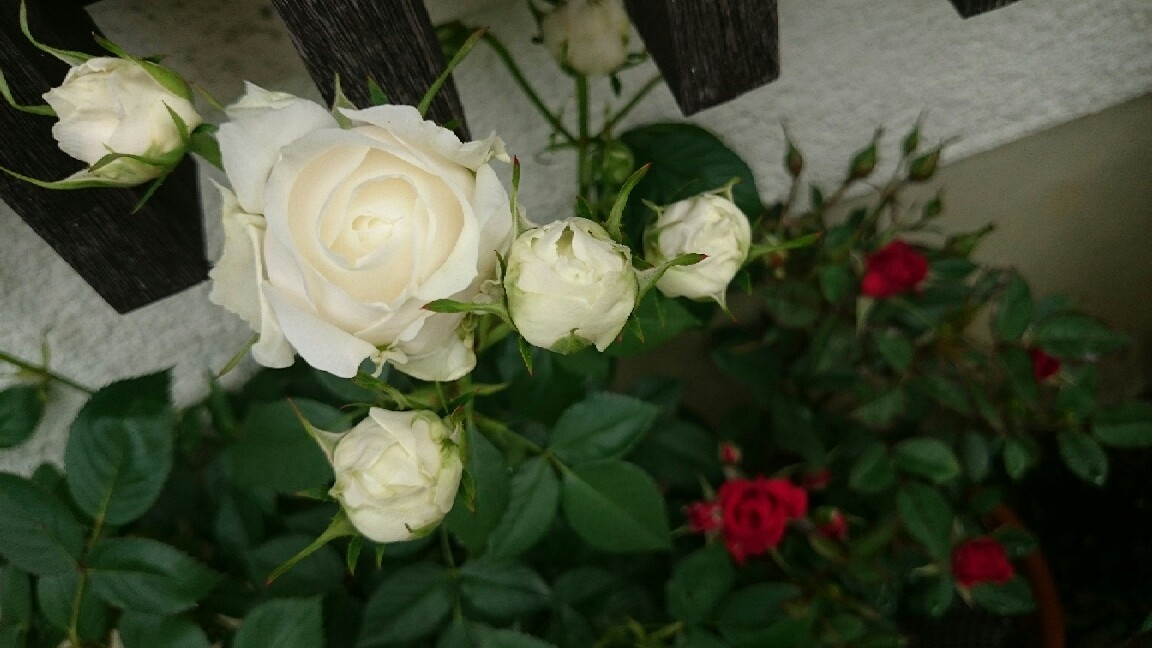 e0263224_00104994.jpg
