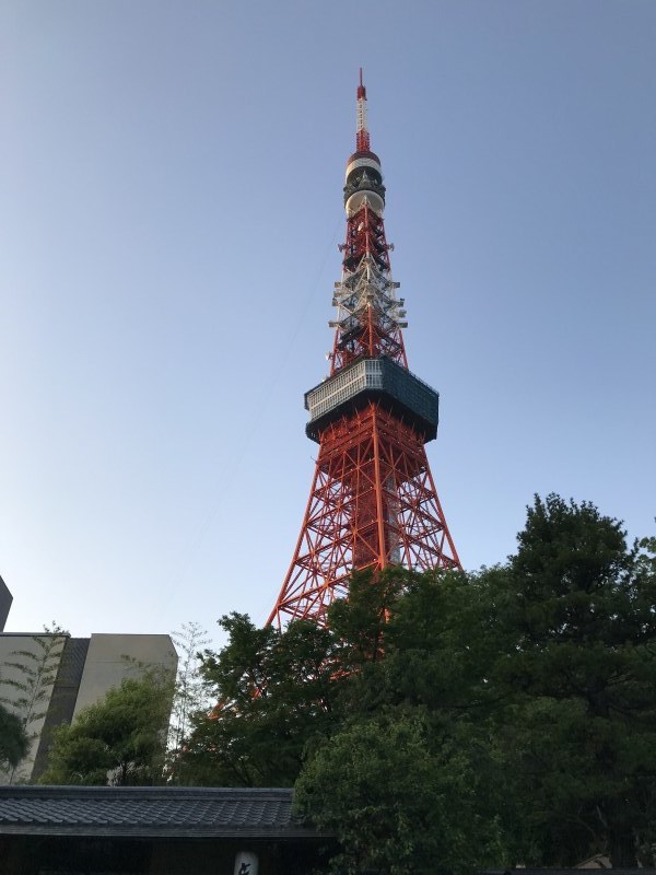 f0368824_13090774.jpeg