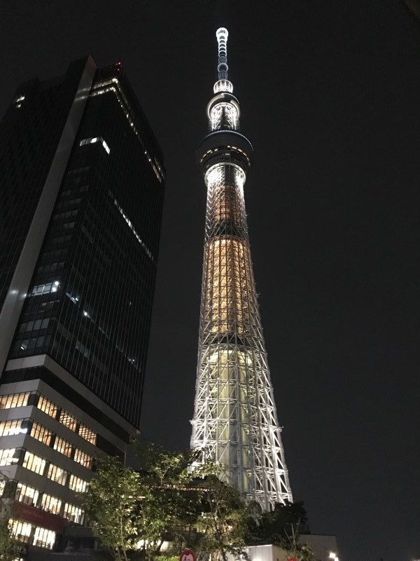 f0368824_13112544.jpeg