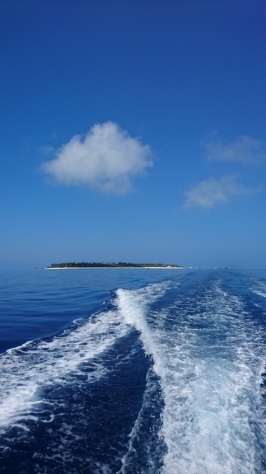 ５月14日こりゃもう夏だな～in水納島・瀬底島_c0070933_21594323.jpg