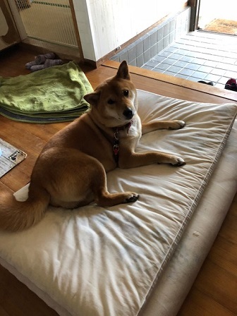 c0367433_16032535.jpeg