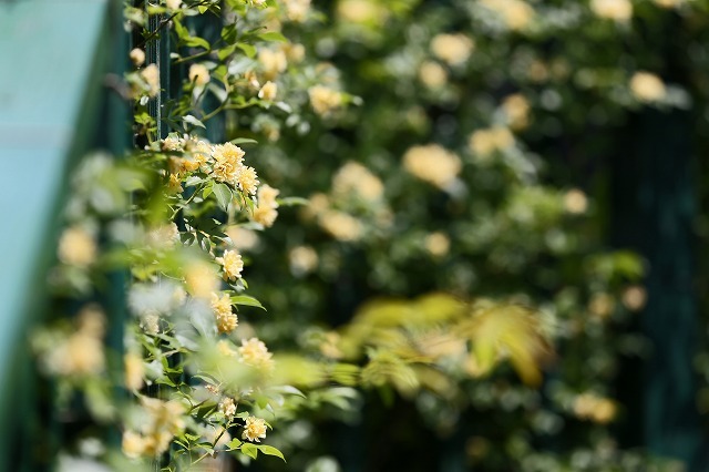 a0242438_18514527.jpg