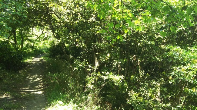 c0077338_06320137.jpg