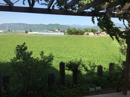 a0272241_15180619.jpeg