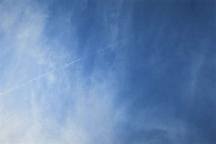 e0300042_04412135.jpg