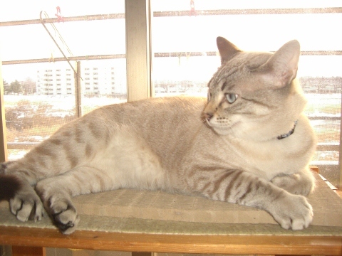 d0358843_01042733.jpg