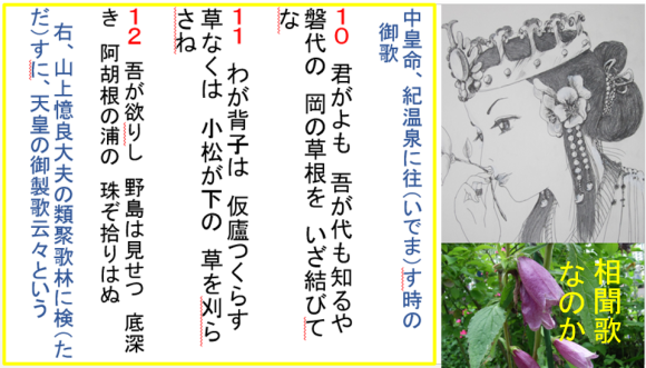 a0237545_15453053.png