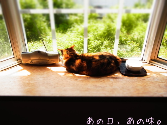 a0305046_10420581.jpg