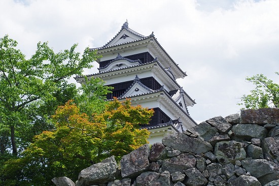 たどり着くのは道後温泉_f0114346_08014555.jpg