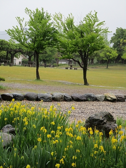 雨降りの散歩_c0327752_09211635.jpg