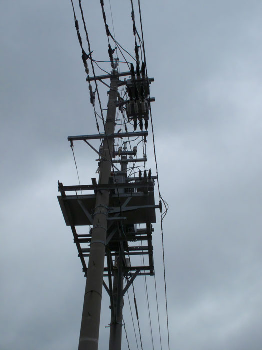 d0342652_1482756.jpg