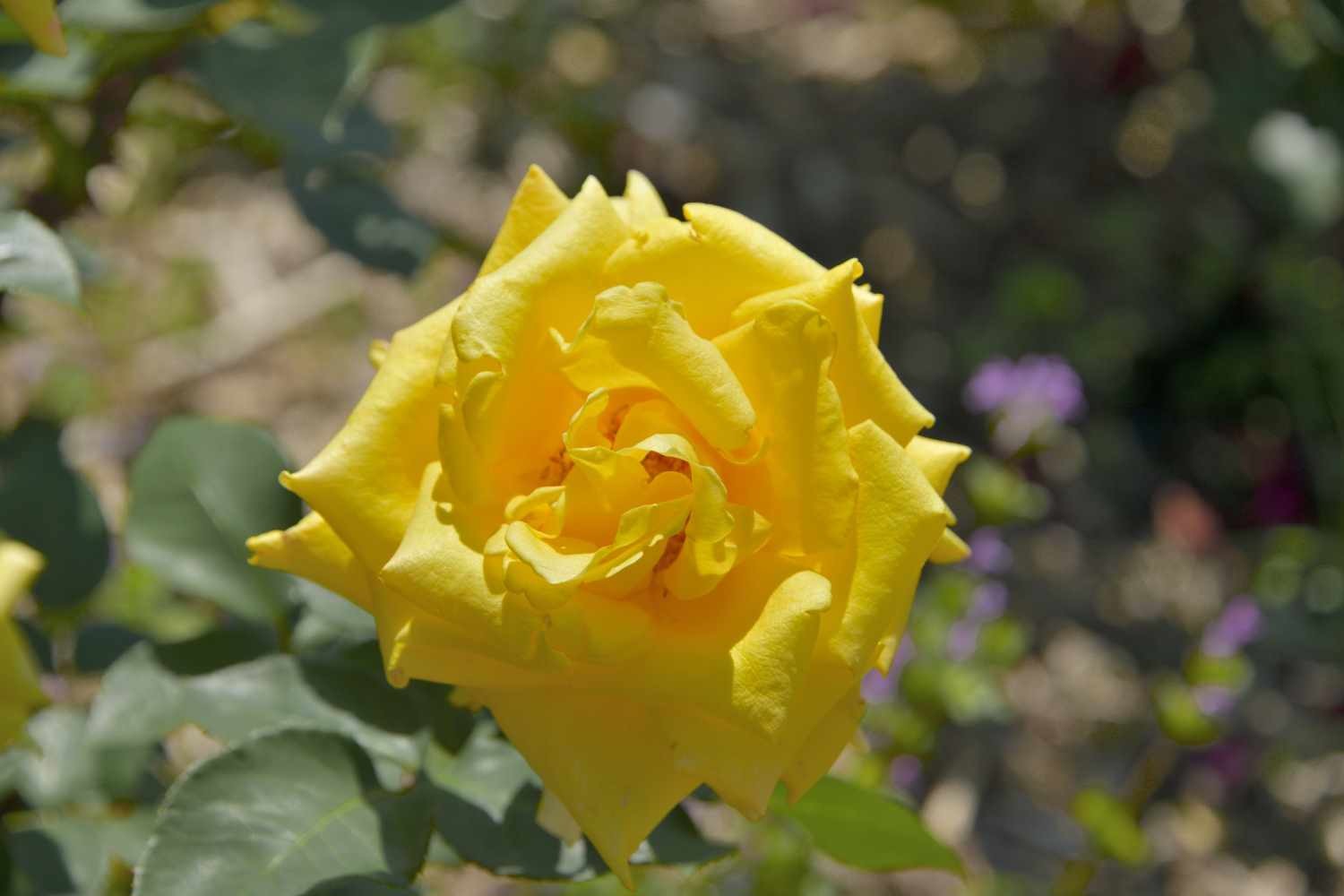 d0286954_17271538.jpg