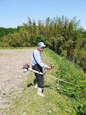 菊池水源棚田米 数量限定販売中!平成30年度の苗床の様子と惜しまぬ手間ひま!_a0254656_17294814.jpg