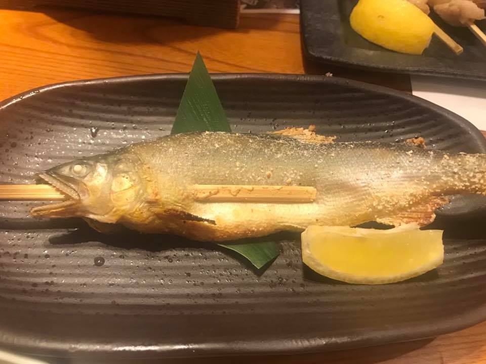 【チャリ旅2】雨のロードも青春だよね! 2018.5.13_b0002156_1324599.jpg