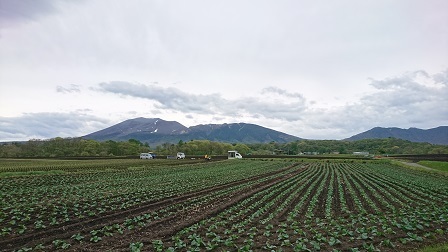 a0208560_12542018.jpg