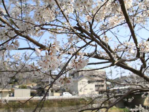 上月駅 周辺・・_d0202264_565083.jpg