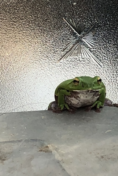 e0151266_07262820.jpeg