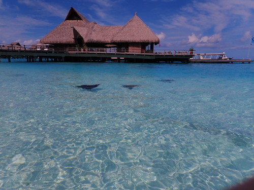d0193569_07244039.jpg
