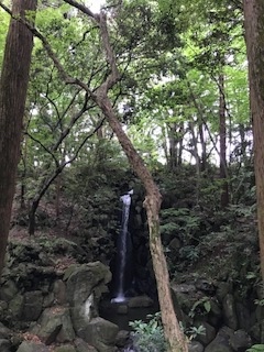 b0034072_07285341.jpg
