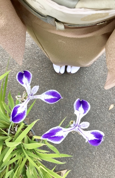 f0105276_19571753.jpeg