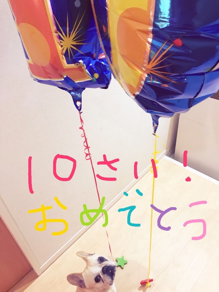 d0048577_15451103.jpeg