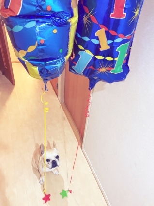 d0048577_15510187.jpeg