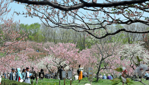 平岡公園へ_f0083977_22475523.jpg