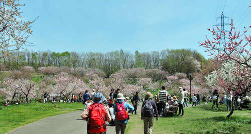 平岡公園へ_f0083977_22475548.jpg