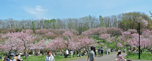 平岡公園へ_f0083977_22490617.jpg