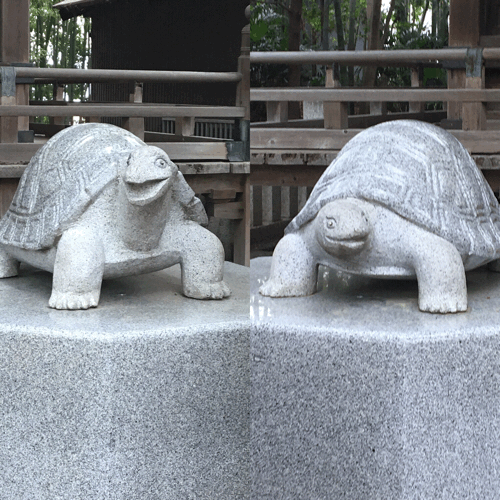 a0009079_10174640.gif