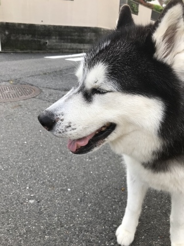 f0315081_22123925.jpeg