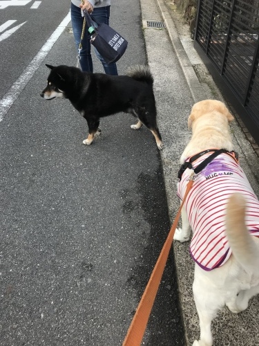 f0315081_22143270.jpeg
