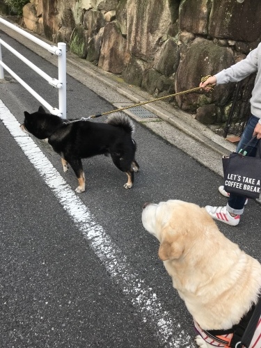 f0315081_22145997.jpeg