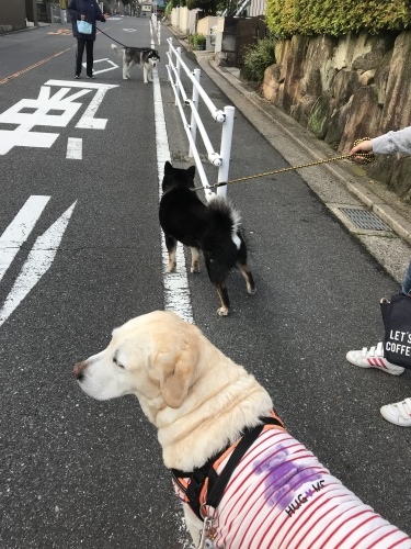 f0315081_22152317.jpeg