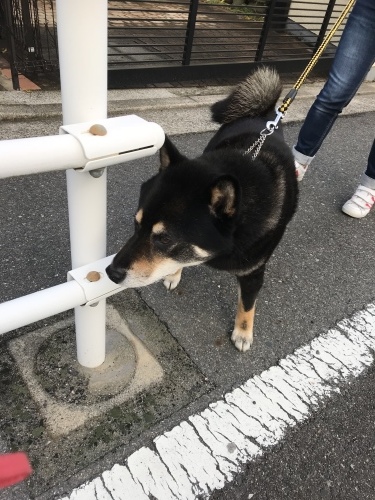 f0315081_22154505.jpeg