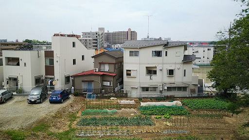 e0020682_17224786.jpg